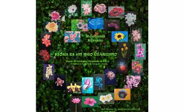 Fiori di un mio giardino Fiori di un mio giardino