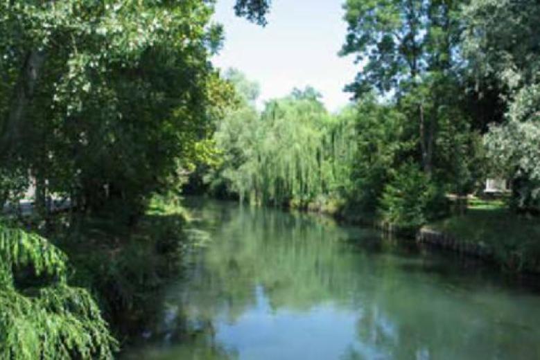 Avviso manifestazione di interesse relativo al Parco regionale di interesse locale dei fiumi Reghena- Lemene e dei laghi di Cinto Avviso manifestazione di interesse relativo al Parco regionale di interesse locale dei fiumi Reghena- Lemene e dei laghi di Cinto