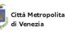 elezioni metropolitane